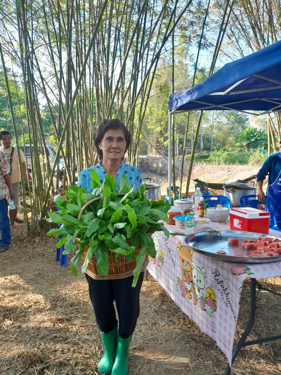 โคก หนอง นา พาสุขใจ