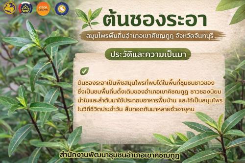 พช.เขาคิชฌกูฏ นำทุกท่านรู้จักกับ “ชองระอา” 